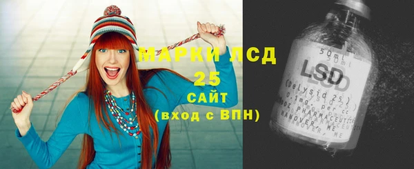 гашик Аркадак