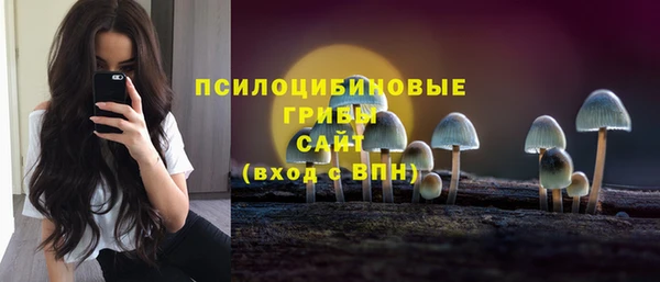 прущая мука Арсеньев