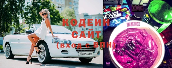 гашик Аркадак