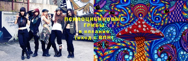 гашик Аркадак